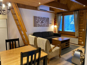 Ruka Rantaruka 6, Ruka